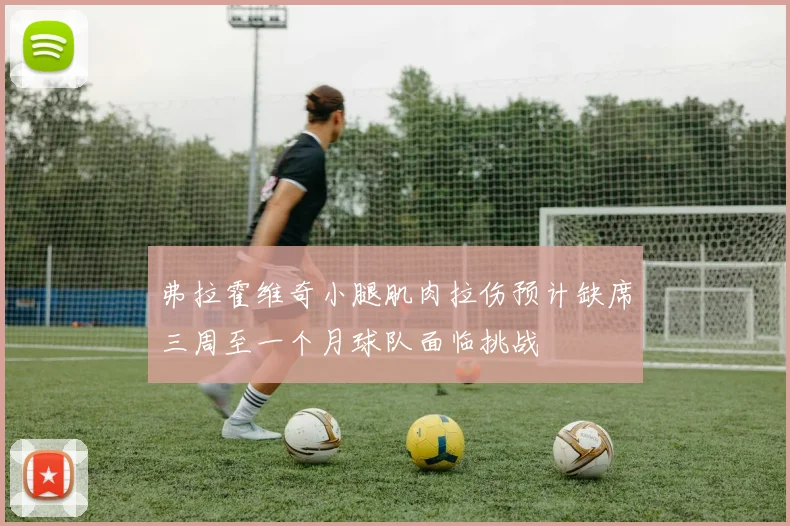 弗拉霍维奇小腿肌肉拉伤预计缺席三周至一个月球队面临挑战