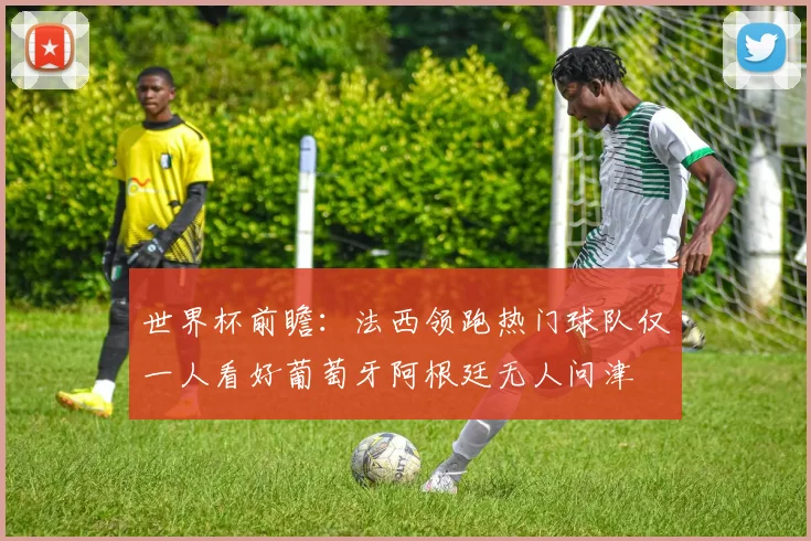 世界杯前瞻：法西领跑热门球队仅一人看好葡萄牙阿根廷无人问津