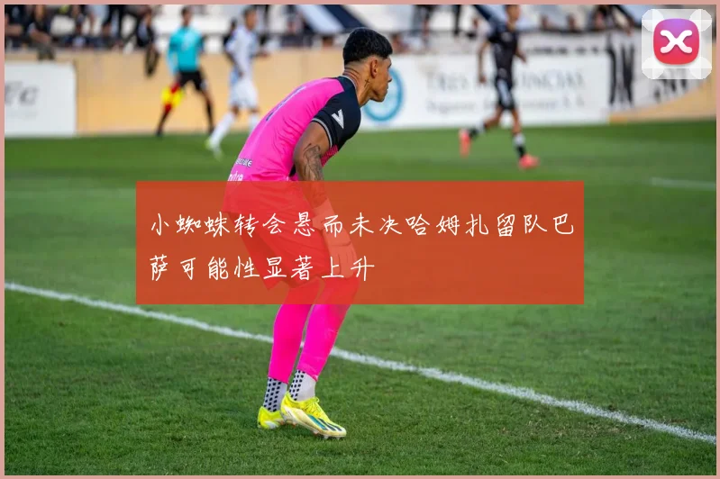 小蜘蛛转会悬而未决哈姆扎留队巴萨可能性显著上升