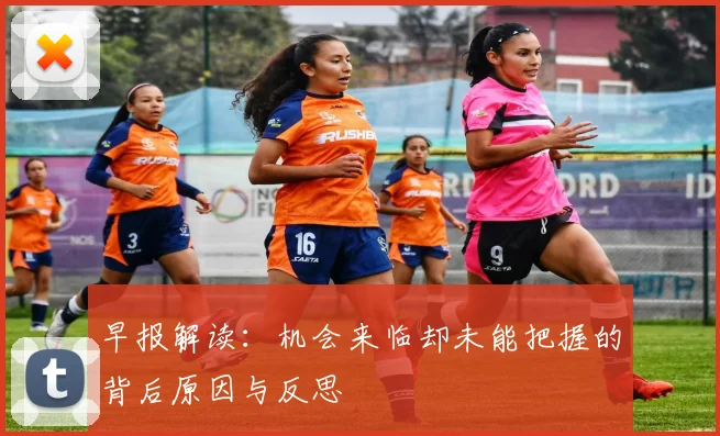 早报解读：机会来临却未能把握的背后原因与反思