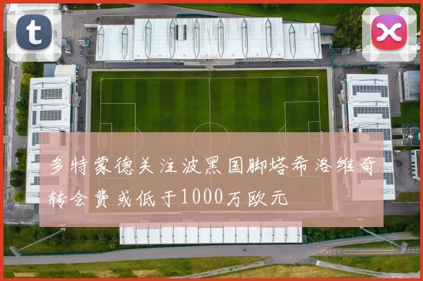 多特蒙德关注波黑国脚塔希洛维奇转会费或低于1000万欧元