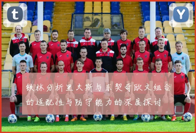 铁林分析里夫斯与东契奇欧文组合的适配性与防守能力的深度探讨